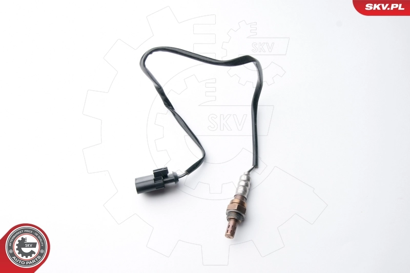Oxygen Sensor